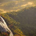 A practical guide to improving a contact page